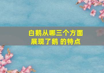 白鹅从哪三个方面展现了鹅 的特点